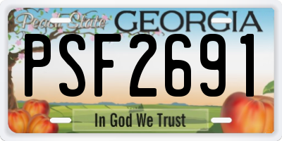 GA license plate PSF2691