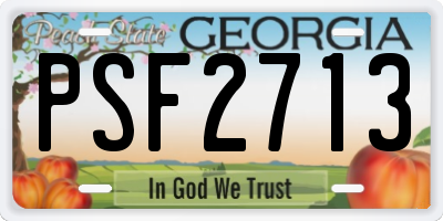 GA license plate PSF2713