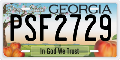 GA license plate PSF2729