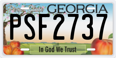 GA license plate PSF2737