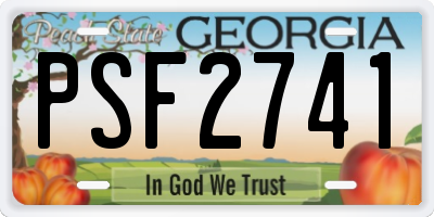 GA license plate PSF2741
