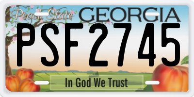 GA license plate PSF2745