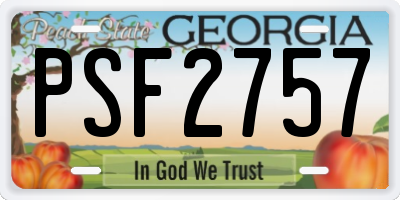 GA license plate PSF2757