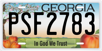 GA license plate PSF2783