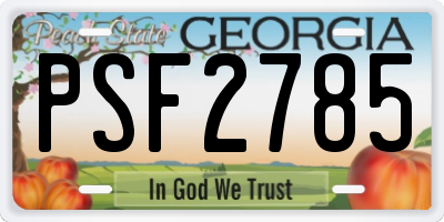 GA license plate PSF2785