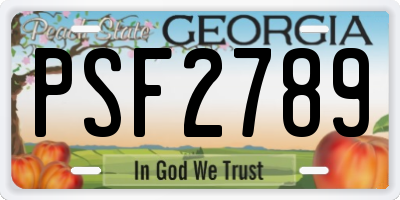 GA license plate PSF2789