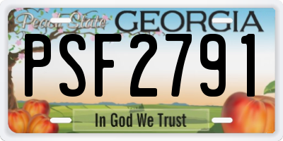 GA license plate PSF2791