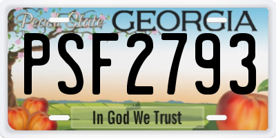 GA license plate PSF2793