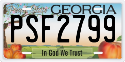 GA license plate PSF2799
