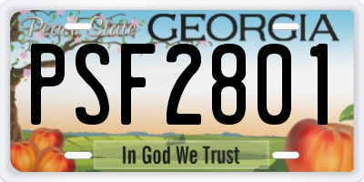 GA license plate PSF2801