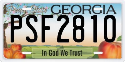 GA license plate PSF2810