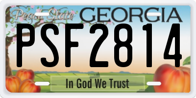 GA license plate PSF2814