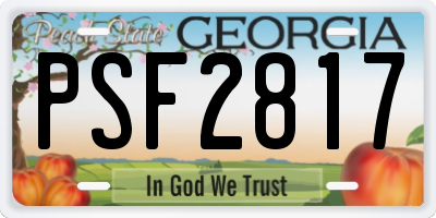 GA license plate PSF2817