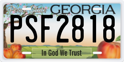 GA license plate PSF2818
