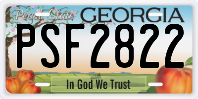 GA license plate PSF2822