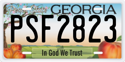 GA license plate PSF2823