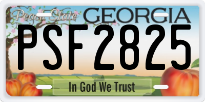 GA license plate PSF2825