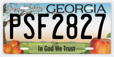 GA license plate PSF2827
