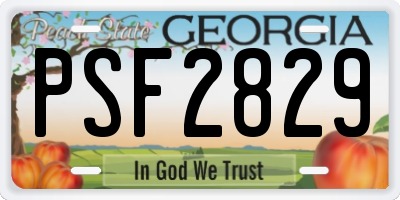 GA license plate PSF2829