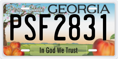 GA license plate PSF2831