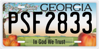 GA license plate PSF2833