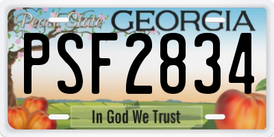 GA license plate PSF2834