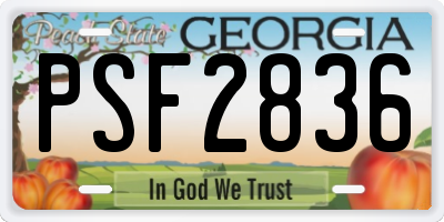 GA license plate PSF2836