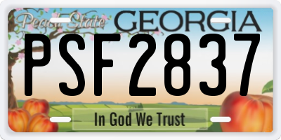 GA license plate PSF2837