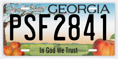 GA license plate PSF2841