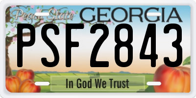 GA license plate PSF2843