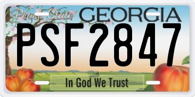 GA license plate PSF2847
