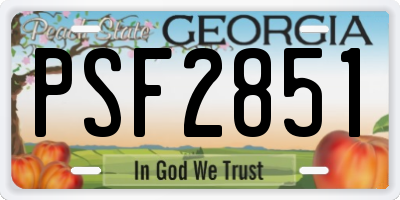 GA license plate PSF2851