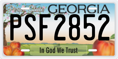 GA license plate PSF2852