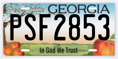 GA license plate PSF2853