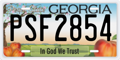 GA license plate PSF2854