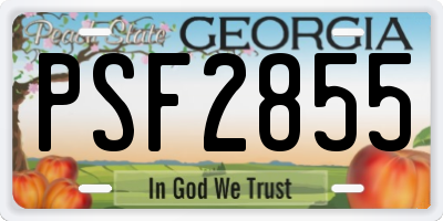 GA license plate PSF2855