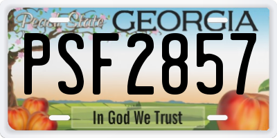 GA license plate PSF2857