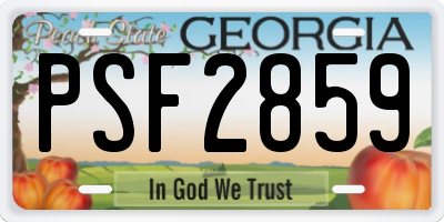 GA license plate PSF2859