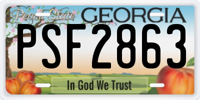 GA license plate PSF2863