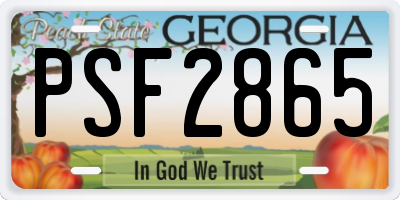 GA license plate PSF2865