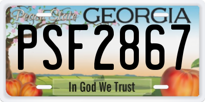 GA license plate PSF2867