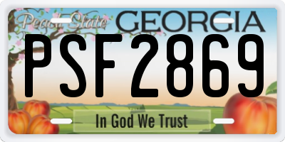 GA license plate PSF2869