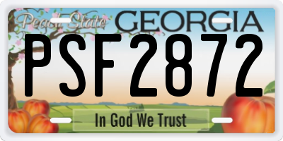 GA license plate PSF2872