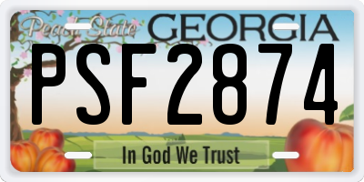 GA license plate PSF2874