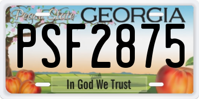 GA license plate PSF2875