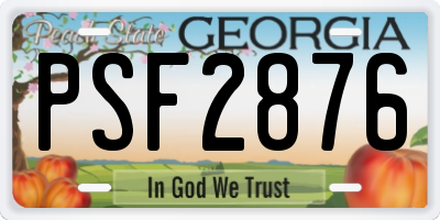 GA license plate PSF2876