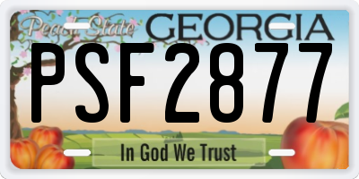 GA license plate PSF2877