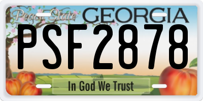 GA license plate PSF2878