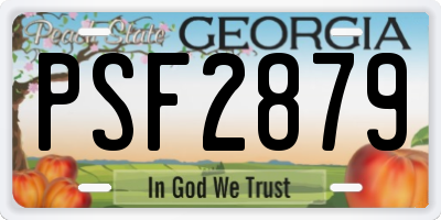 GA license plate PSF2879