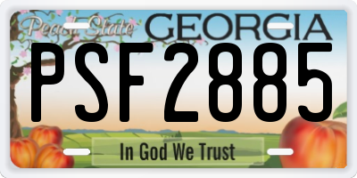 GA license plate PSF2885